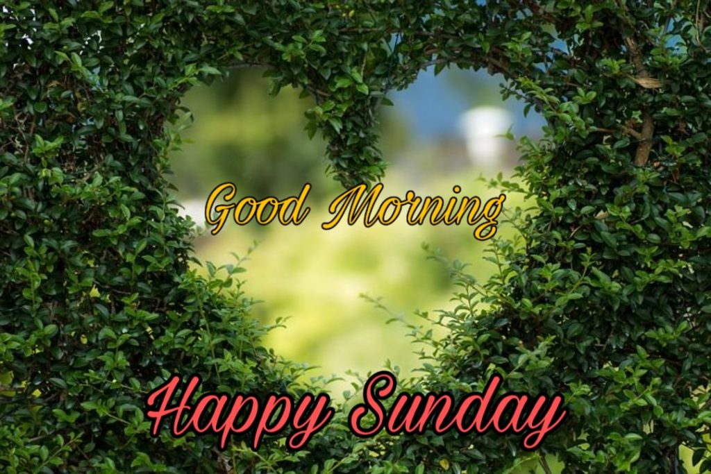 122+ Good Morning Sunday Images 2023 - New Collection 16 good morning sunday wishes
