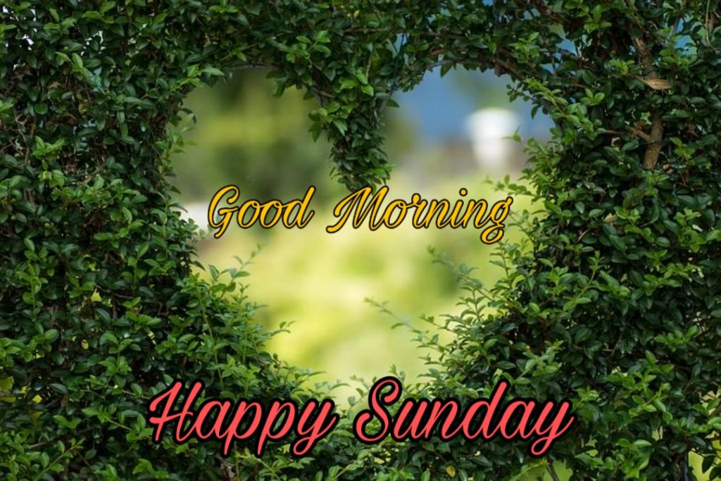 good morning sunday wishes