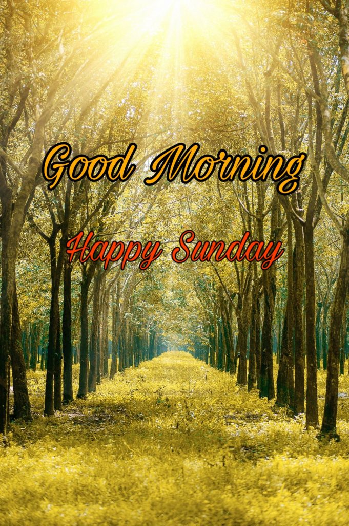 good morning sunday gif