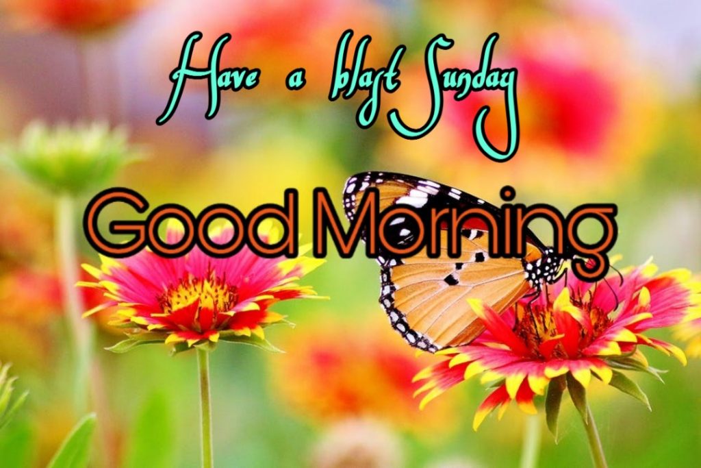 122+ Good Morning Sunday Images 2023 - New Collection 27 good morning sunday photos
