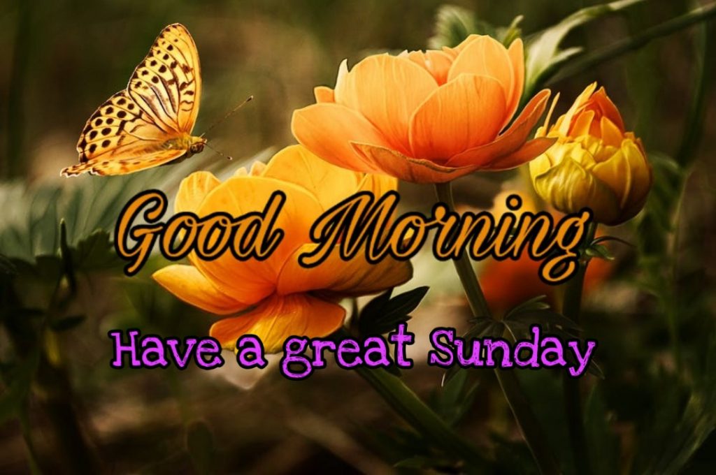 good morning sunday sms