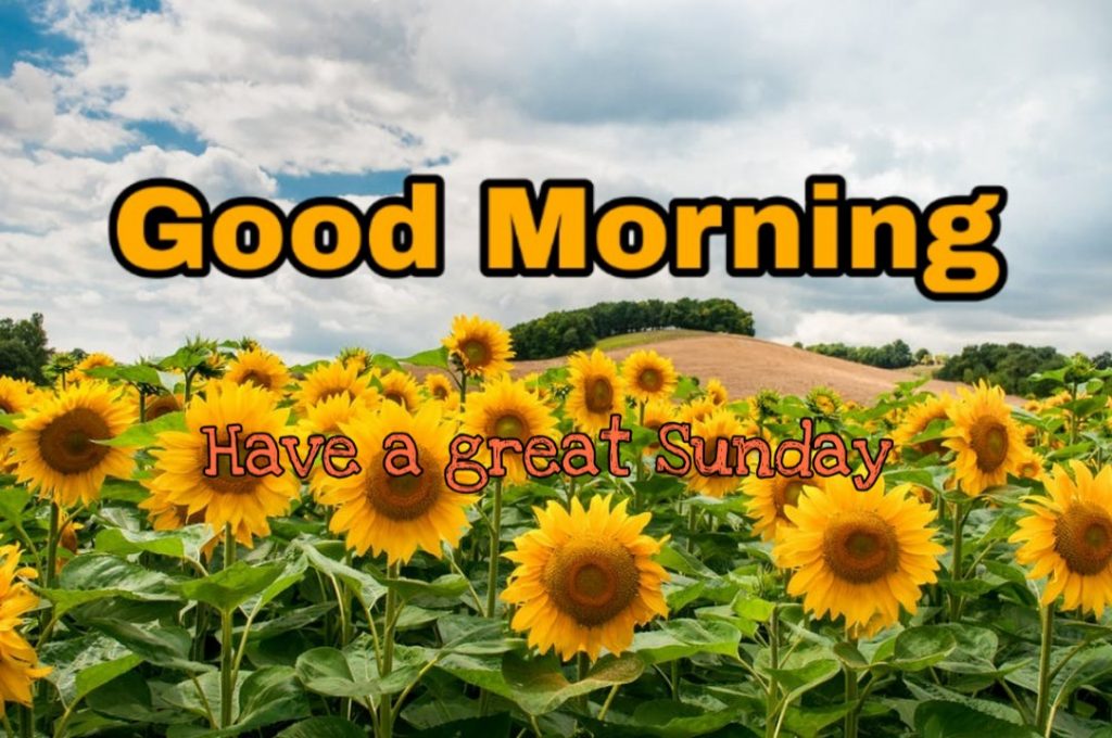 122+ Good Morning Sunday Images 2023 - New Collection 22 good morning sunday pics