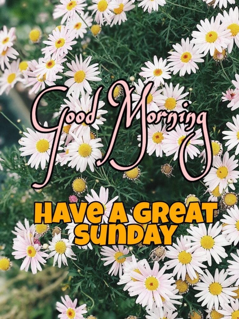122+ Good Morning Sunday Images 2023 - New Collection 19 good morning sunday messages