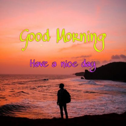 144+ Good Morning Nature Images 2023 70 free photo good morning images with nature