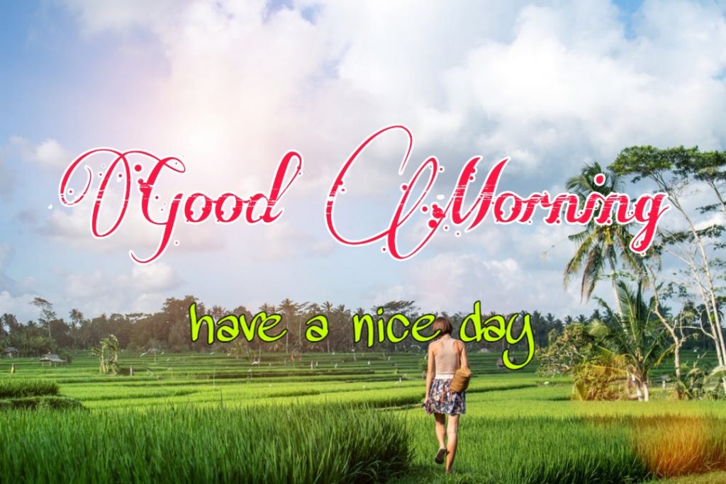 144+ Good Morning Nature Images 2023 68 144+ Good Morning Nature Images 2023 43