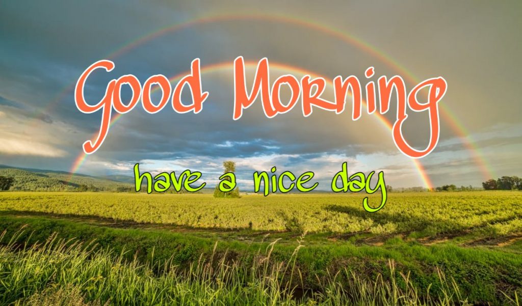 144+ Good Morning Nature Images 2023 67 good morning images with nature hd download