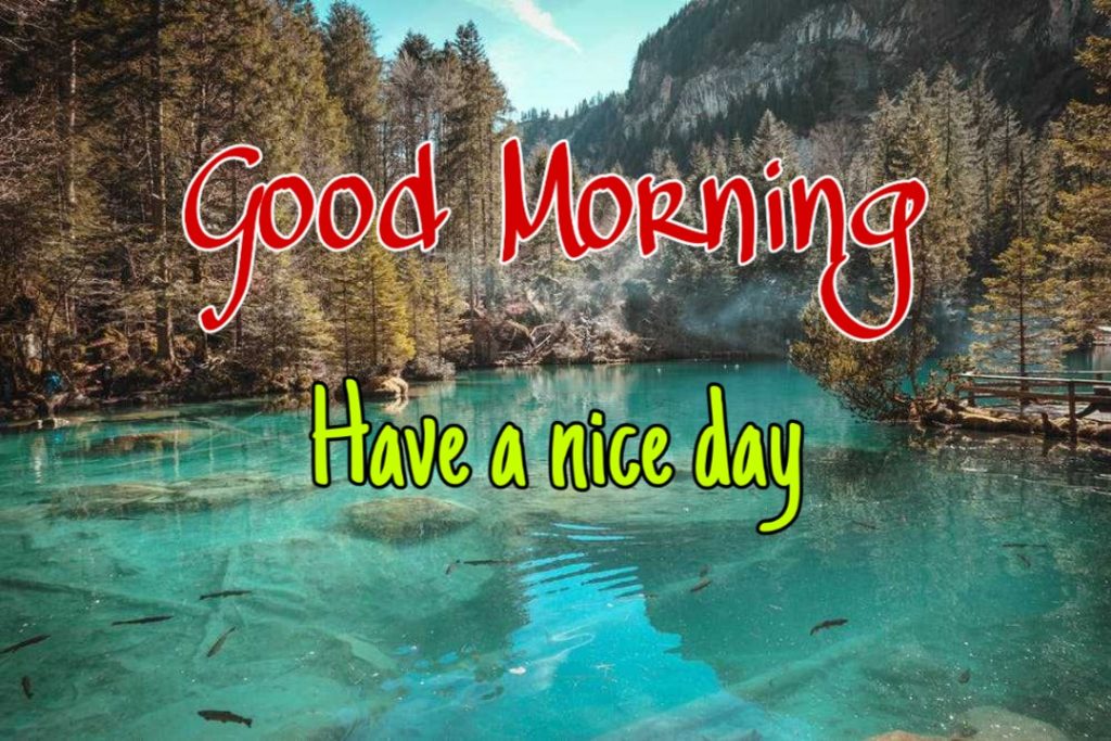 144+ Good Morning Nature Images 2023 61 download good morning images with nature