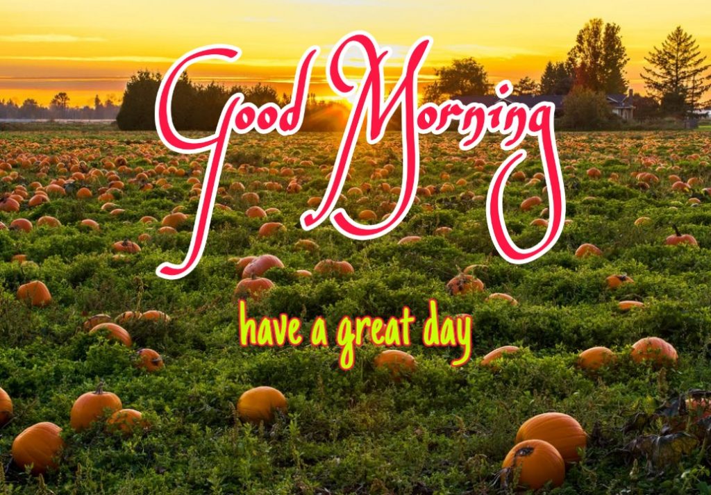 144+ Good Morning Nature Images HD Quotes Wishes 2023 13