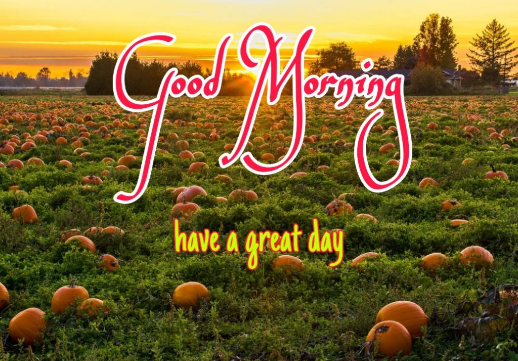 144+ Good Morning Nature Images 2023 59 144+ Good Morning Nature Images 2023 41