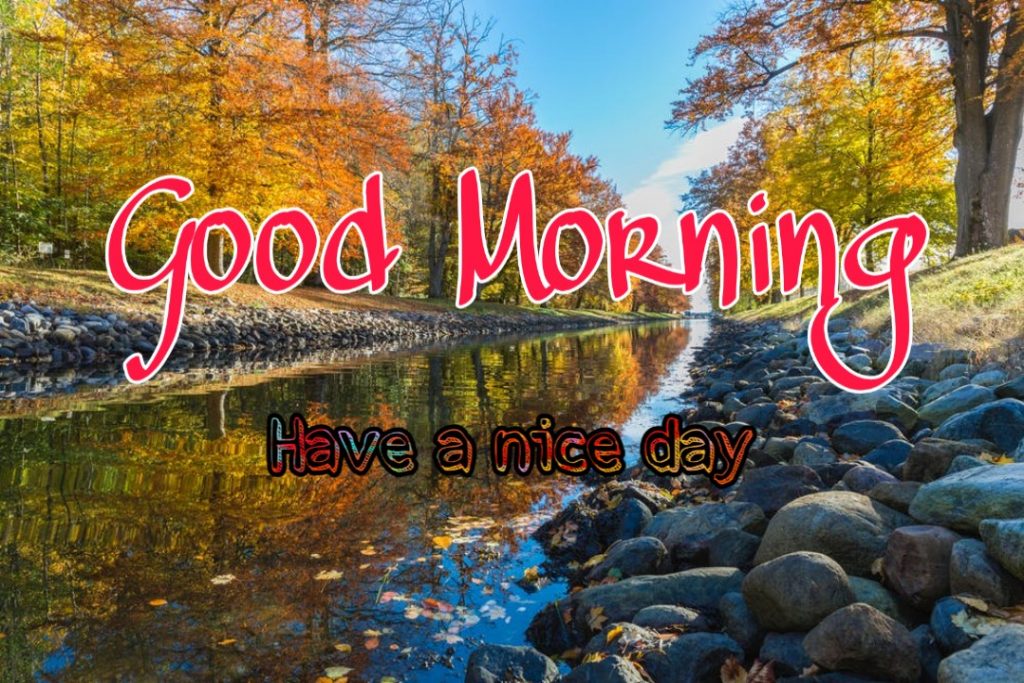 144+ Good Morning Nature Images 2023 57 good morning images with nature jpg