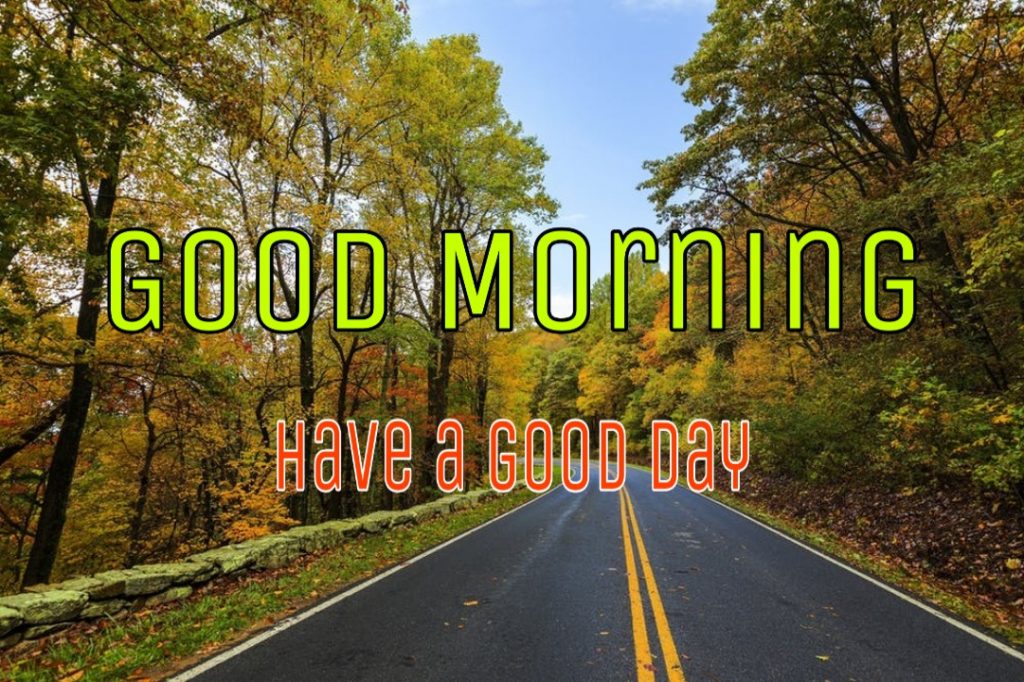 144+ Good Morning Nature Images 2023 39 beach sunrise good morning images with nature