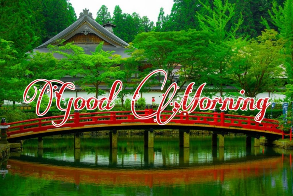 144+ Good Morning Nature Images 2023 38 144+ Good Morning Nature Images 2023 29