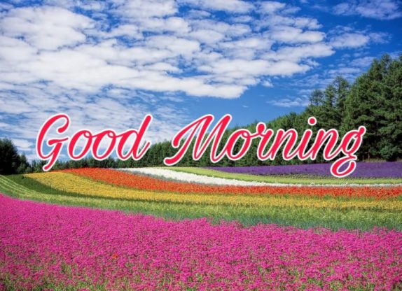 144+ Good Morning Nature Images 2023 37 natural scenery good morning images with nature