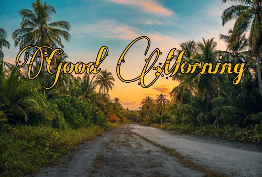 144+ Good Morning Nature Images 2023 31 sunrise good morning images with nature