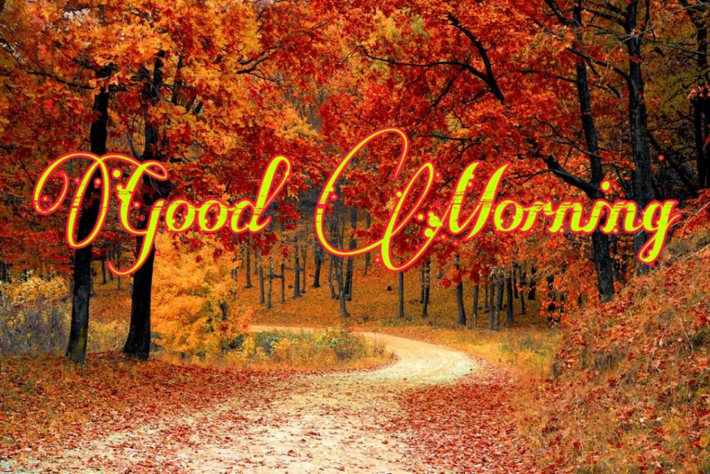144+ Good Morning Nature Images 2023 27 good morning images with nature