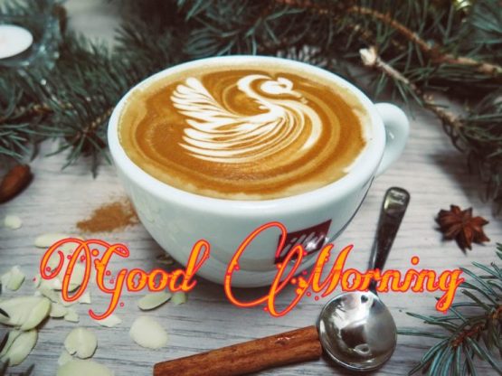 101+ Good Morning Coffee Images 2023 37 good morning coffee cups