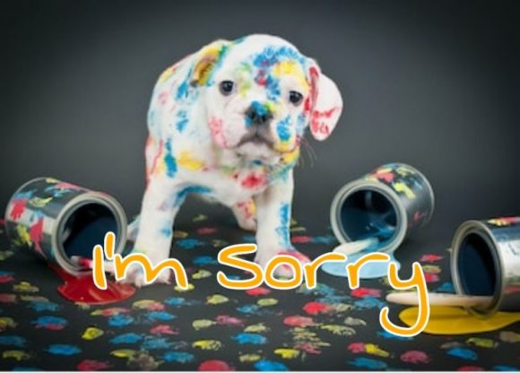 55+ Sorry Images Photos Pictures 2023 - Latest Collection 28 sorry to lover