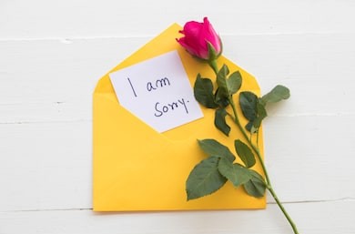 55+ Sorry Images Photos Pictures 2023 - Latest Collection 30 sorry images hd