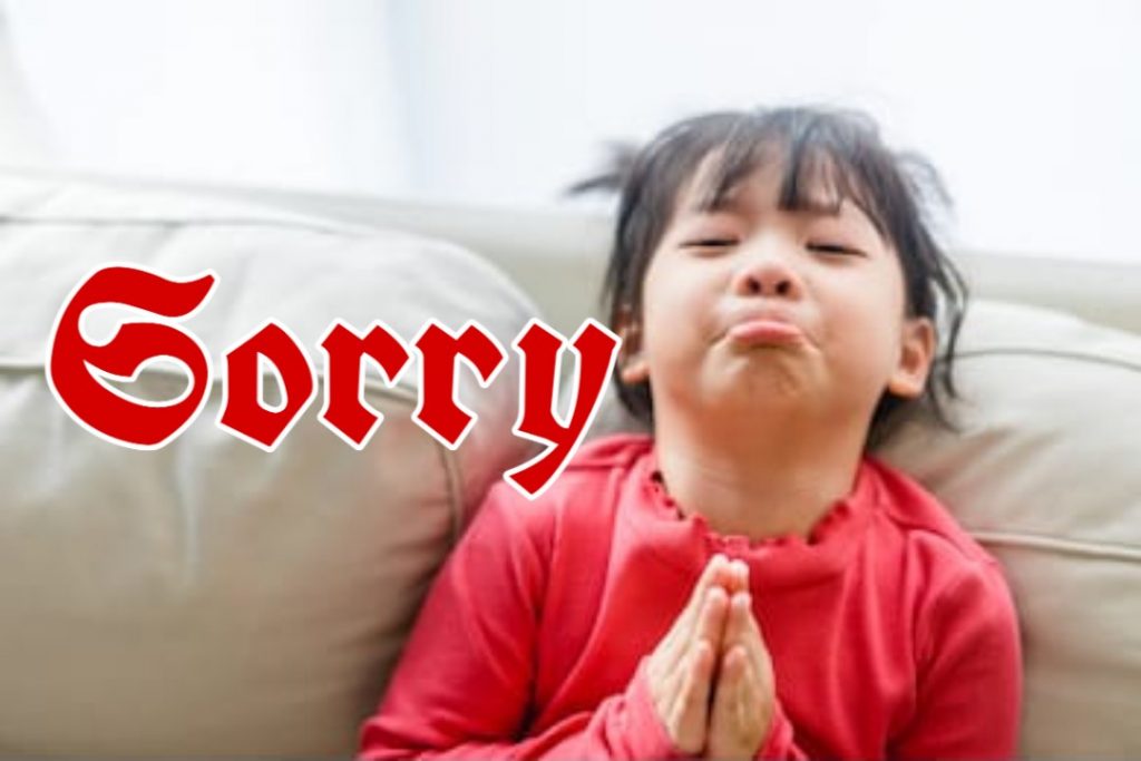 55+ Sorry Images Photos Pictures 2023 - Latest Collection 22 sorry pic