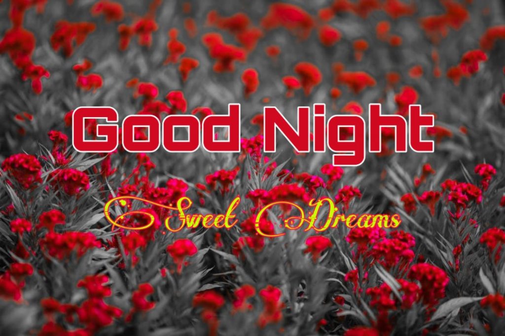 109+ Good Night Flower Images Pictures Photos - New 2023 57 good night flowers for her