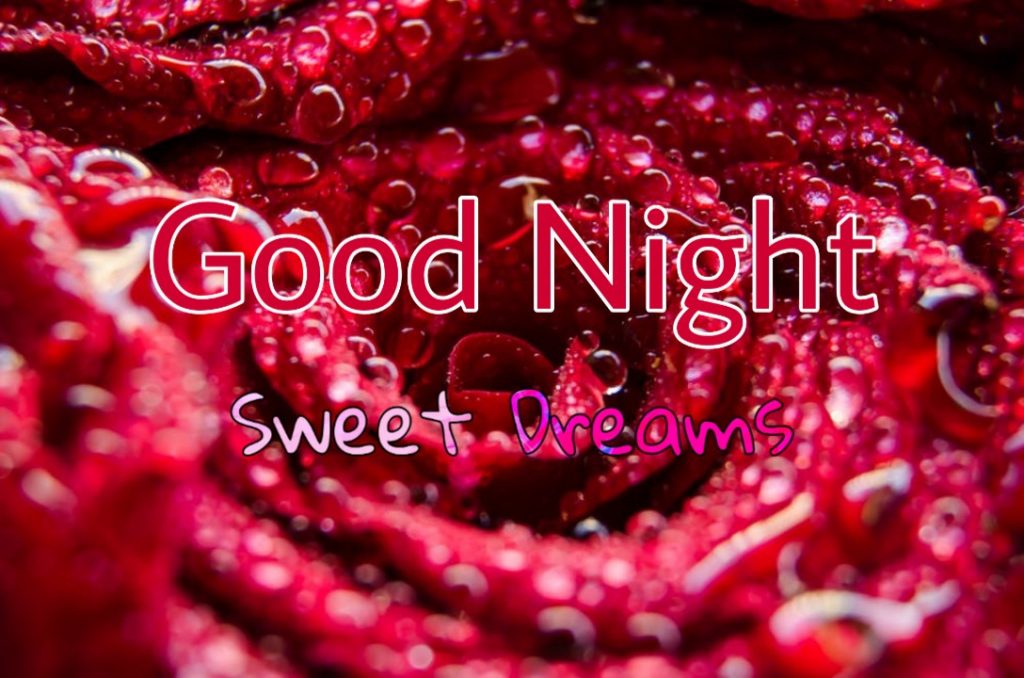 109+ Good Night Flower Images Pictures Photos - New 2023 53 good night flowers facebook
