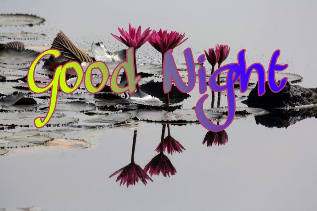 109+ Good Night Flower Images Pictures Photos - New 2023 51 good night flowers hd