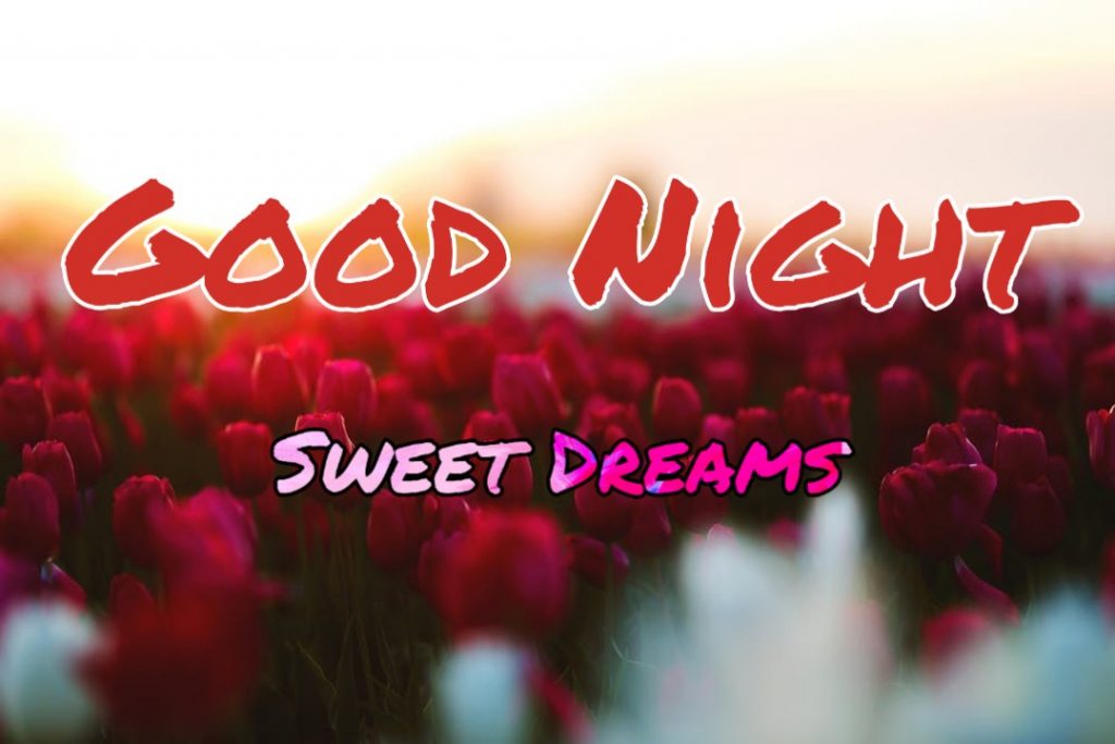 109+ Good Night Flower Images Pictures Photos - New 2023 50 beautiful good night flowers