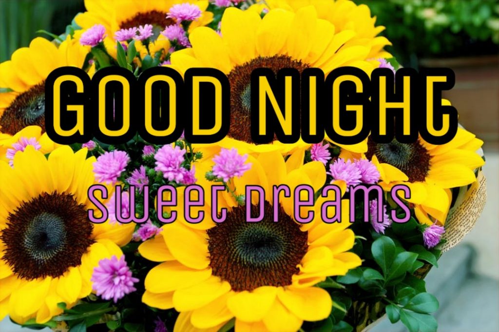 good night flowers images download