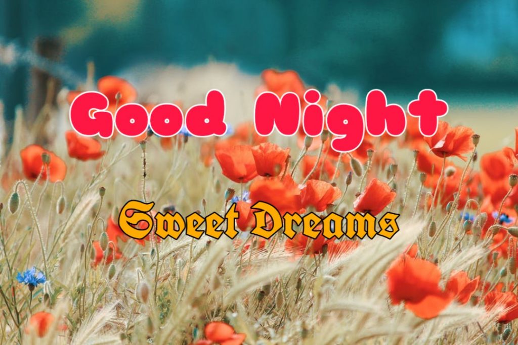 good night flowers image