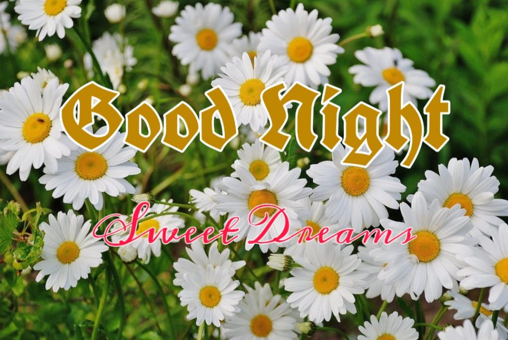 109+ Good Night Flower Images Pictures Photos - New 2023 43 good night flowers photo