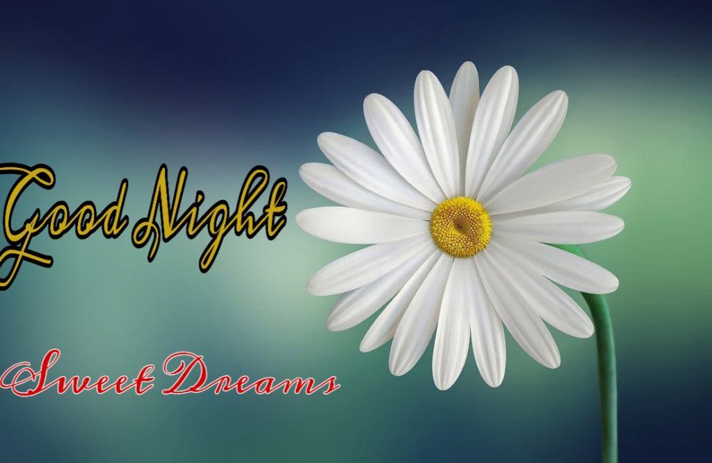 109+ Good Night Flower Images Pictures Photos - New 2023 42 good night flowers for lovers
