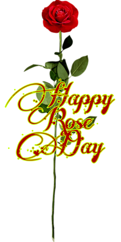 Happy Rose Day 2021 Images Pictures Quotes 41 happy rose day quotes for girlfriend