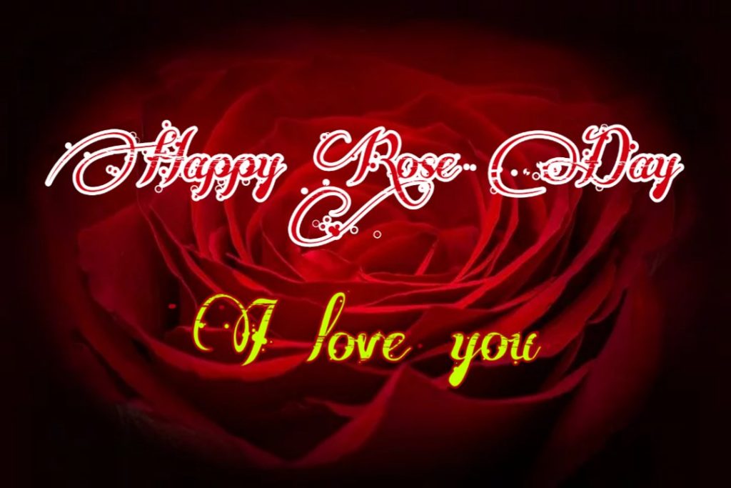 Happy Rose Day 2021 Images Pictures Quotes 40 happy rose day photo