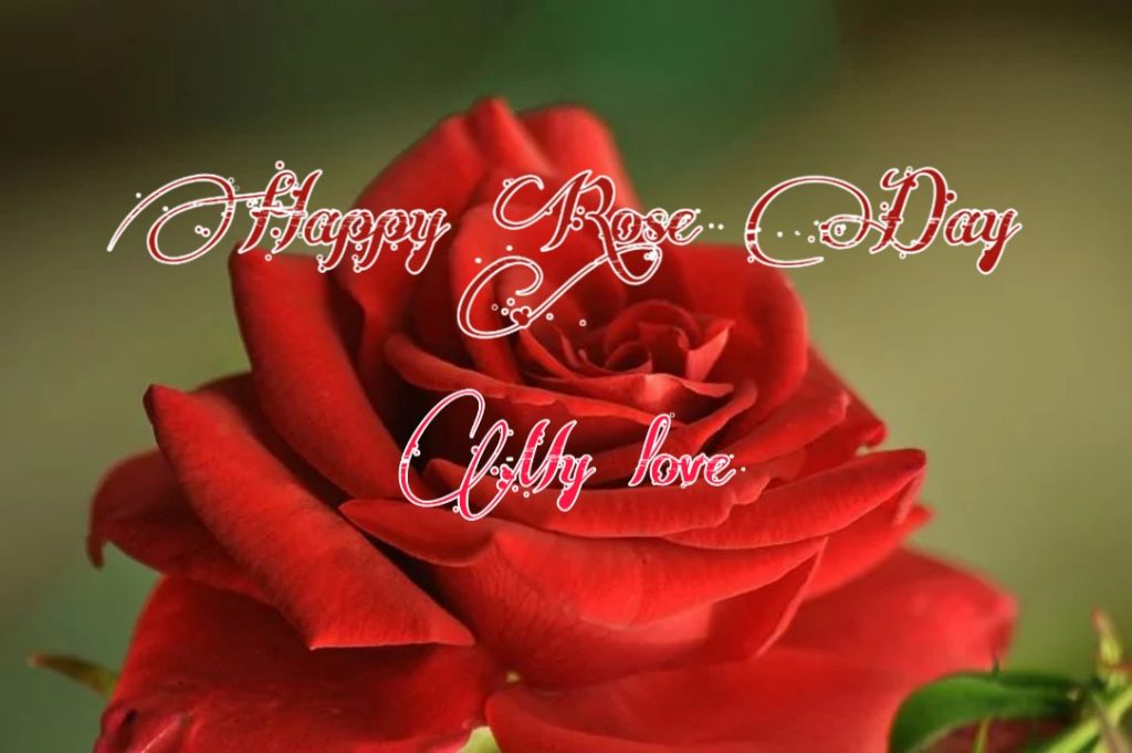 Happy Rose Day 2021 Images Pictures Quotes 38 happy rose day pic download