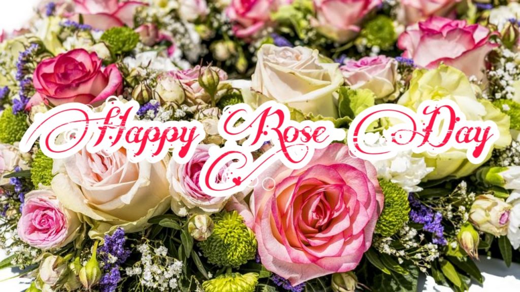 happy rose day hd photo