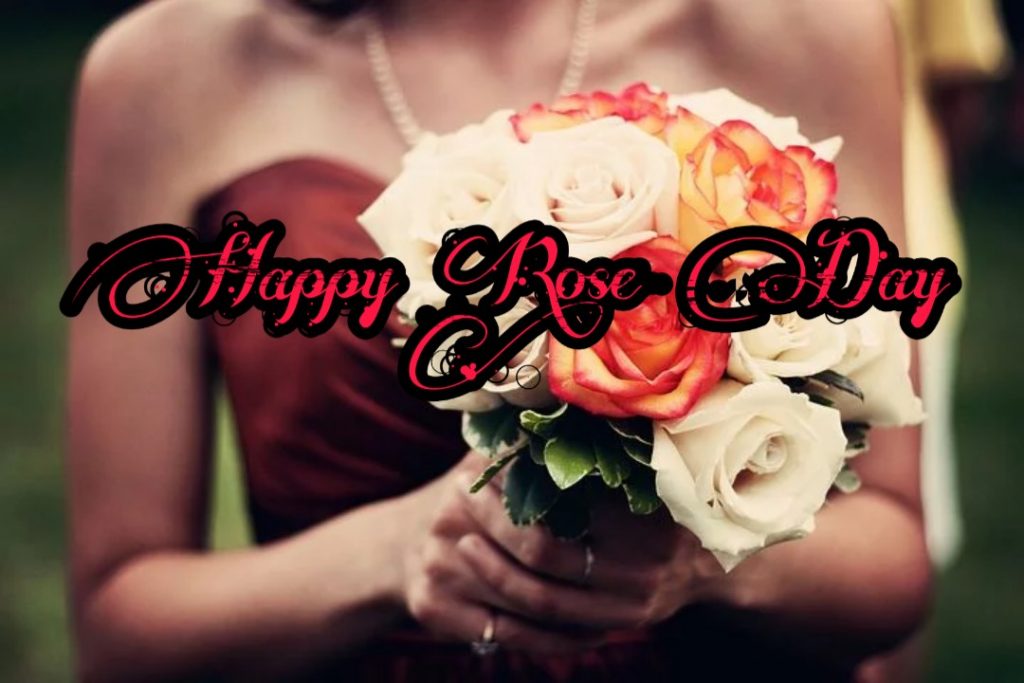 Happy Rose Day 2021 Images Pictures Quotes 34 happy rose day hd wallpapers