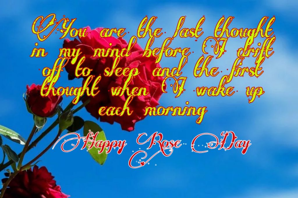 Happy Rose Day 2021 Images Pictures Quotes 32 happy rose day my love images