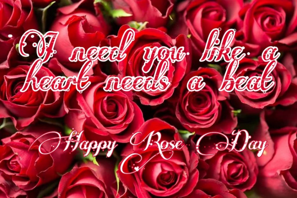 happy rose day msg