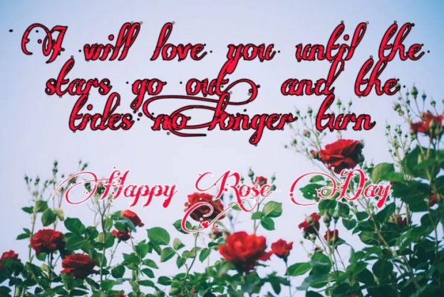happy rose day images hd