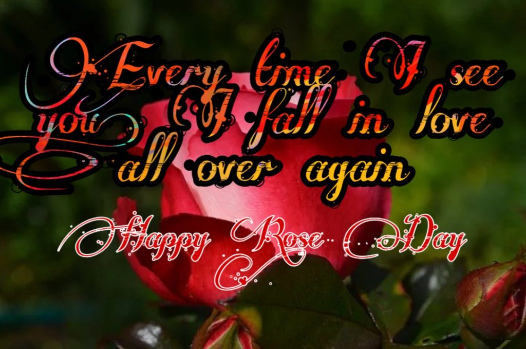 Happy Rose Day 2021 Images Pictures Quotes 28 happy rose day images download