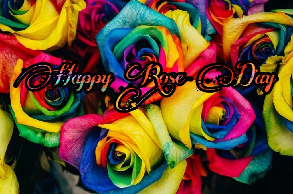 happy rose day pic