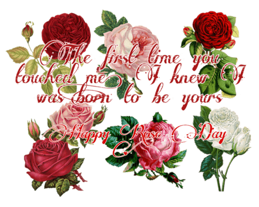 Happy Rose Day 2021 Images Pictures Quotes 25 happy rose day image