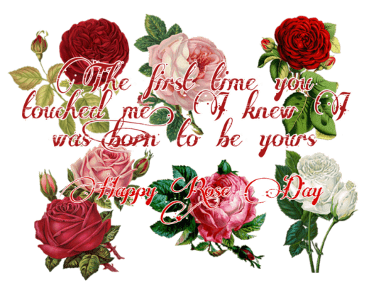 happy rose day image