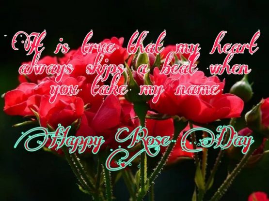 Happy Rose Day 2021 Images Pictures Quotes 22 rose day images for girlfriend