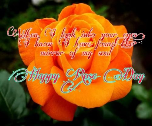Happy Rose Day 2021 Images Pictures Quotes 21 Happy Rose Day 2021 Images Pictures Quotes 2
