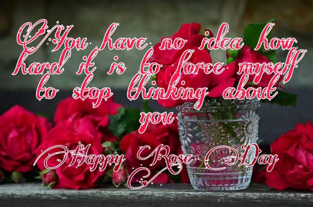 Happy Rose Day 2021 Images Pictures Quotes 20 happy rose day images for wife