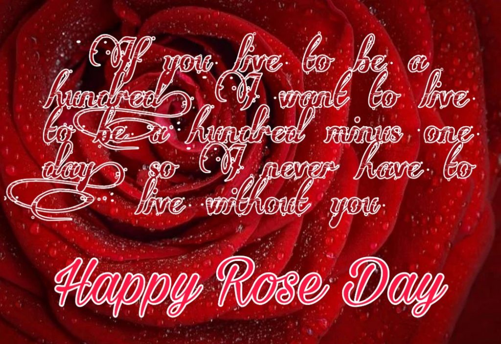 Happy Rose Day 2021 Images Pictures Quotes 19 rose day images with quotes for wife
