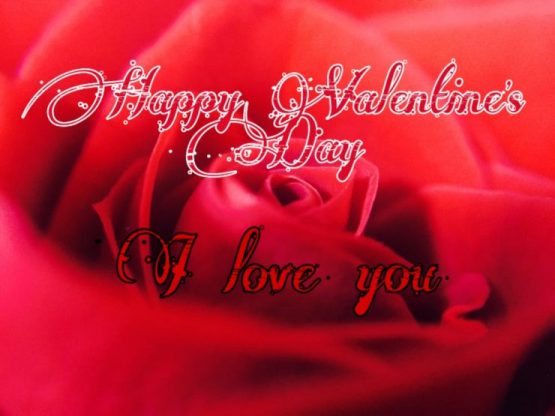 valentines day images hd