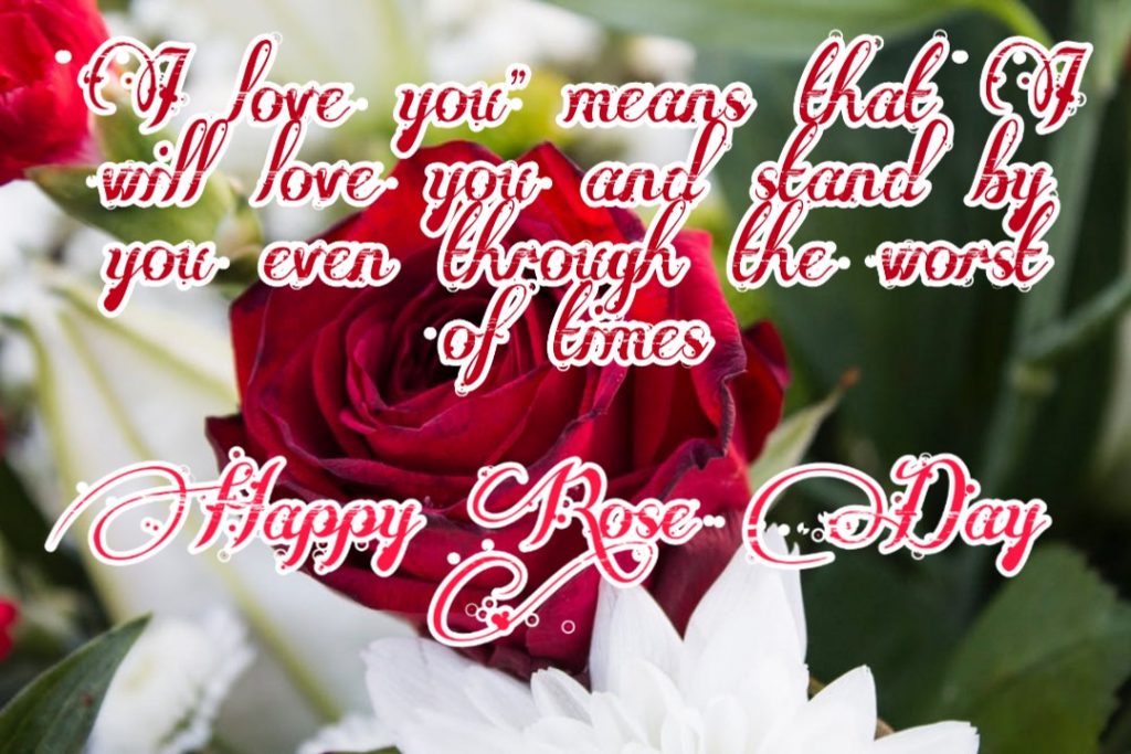 rose day images with quotes