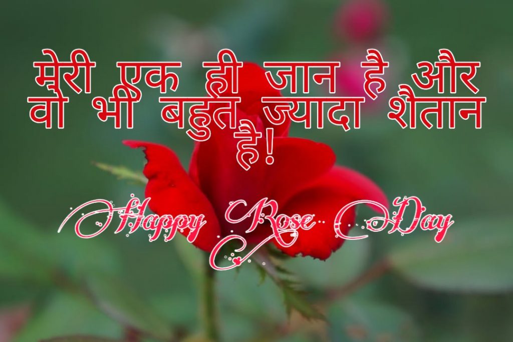 happy rose day quotes in hindi